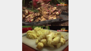 생강의 효능 ‘신이 내린 정력제’, 품귀 현상 빚나?