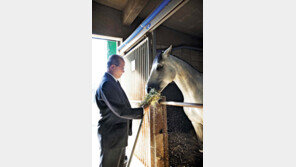 말 한 마리 잘 키우면 ‘억대 연봉’