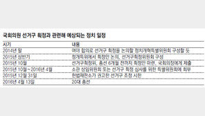 20대 총선 빅뱅… 야권 “이참에 중선거구제 도입” 목소리