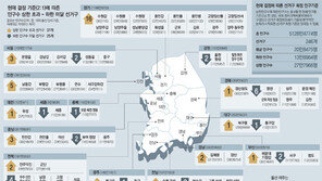 ‘2:1’ 적용때 선거구 어떻게 달라지나… 수도권 11곳 늘고 영호남 8곳 감소 가능성