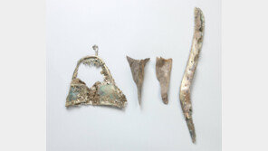 경북 의성서 5세기 후반 신라 금동관모 출토