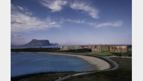 휘닉스 아일랜드, 민트 프로포즈 응원 이벤트