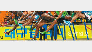 [책의 향기]“경쟁神話는 모두 속임수”