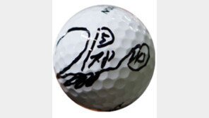 [신동아]“골프가 공부보단 쉬워 보였어요”  LPGA 메이저 최연소 우승 김효주