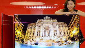 가격 확 내리자… LG 55인치 OLED TV 한달새 1000대 팔려