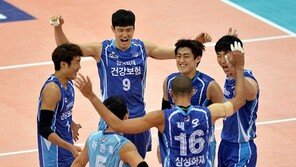 서브리시브에 운 삼성화재와 현대건설