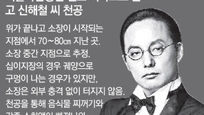 “신해철 소장에 1cm 구멍… 저절로 터지는 곳 아니다”