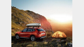 BMW, 미니 오리지널 카 액세서리 캠페인 실시