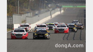 ‘2014 슈퍼레이스’ 7개월 대장정 끝…베테랑들 웃었다