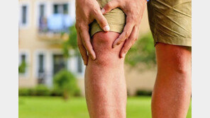 비만으로 인한 퇴행성 관절염 주의보