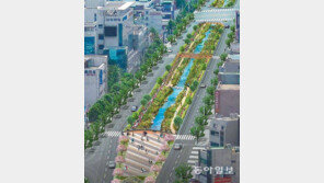 [인천/경기]부천 심곡복개천, 생태하천으로 바뀐다