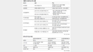 17일 국내상륙 투자매력 솔솔