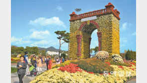 [광주/전남]국화향기 맡으며 가을 만끽