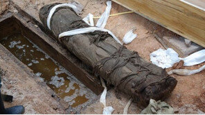 도솔산 500년 전 미라 발견… 학술적 가치 뛰어나 ‘관심 집중’