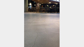 제2 롯데월드, 천장 균열 발견… 이음매 부분이라 안전?