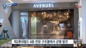 제2 롯데월드, 바닥 이어 천장서도 균열… 롯데 “안전과 무관” 해명