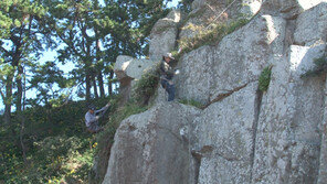 [ON AIR] 자연 속 보물을 찾는 사람들