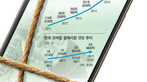 ‘간편결제’ 美보다 먼저 하고도 시장 뺏길판