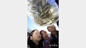 “꼬마 물고기 영산강서 쑥쑥 자라줘”