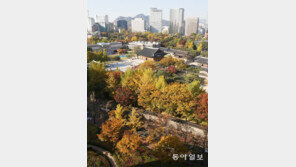 [수도권]빌딩숲 사이로 찾아온 가을