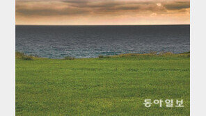 [제6회 제주 국제사진공모전]비오는 날에 펼쳐진 새들의 군무… 제주가 날 오라하네