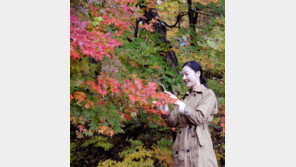 [대구/경북]“팔공산단풍에 반했어요”