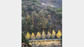 [부산/경남]지리산의 늦가을 풍경