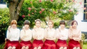 컴백 에이핑크, 나란히 앉아 ‘청순미’ 발산…그런데 표절이라고? 