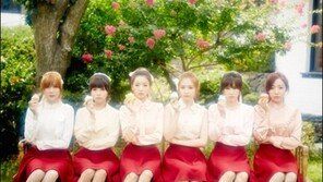 컴백 에이핑크 소속사 “표절 논란 당황스럽다”, 사진 직접 비교해보니…