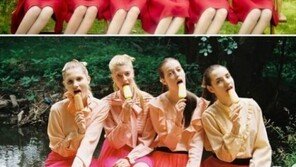 ‘컴백’ 에이핑크, 이미지 표절 논란… 사진작과 작품과 비교해보니?