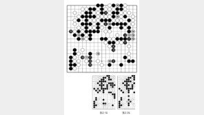 [바둑]제58기 국수전… 좋은 수순 169-171