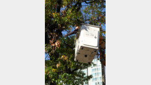 [수도권]아파트 단지 가지치기 ‘일석삼조’