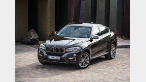 BMW, 뉴 X6 이달 출시…연말까지 고성능 디젤 쏟아내