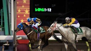 日원정 한국경주마 3총사 “경마 남벌 기대하라”