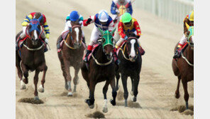 키 작은 젊은 그대, 경마기수 도전해 보세요