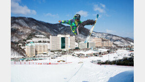 올 겨울은 어디서 날아볼까?