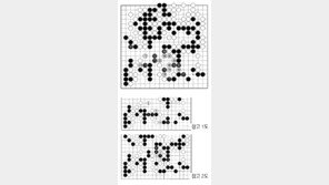 [바둑]제58기 국수전… 안전한 길 179
