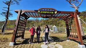 [대구/경북]걷기만 해도 힐링되는 군위 숲 공원