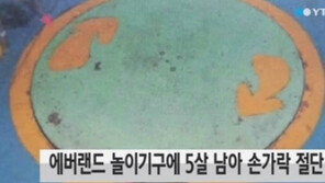 에버랜드 오즈의성 사고, 원형판 사이에 아이 손가락이…사건 경위봤더니