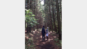 김동률, 이효리-이상순에게 감사 인사 “안심도 되고 부럽기도 해”