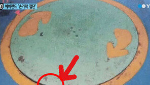 에버랜드 오즈의성 사고, 어떤 놀이기구인가 보니...