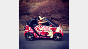 노홍철 음주운전 적발, 어떻게 된 일인가 보니…