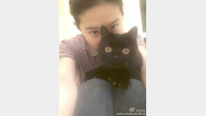 “오랜만이야~” 유역비, 고양이와 깜찍 셀카 ‘청순’