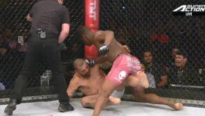 쇼군 34초만에 충격패, 쏟아지는 파운딩에 속수무책