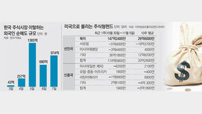 글로벌 투자자금 ‘美 쏠림현상’… 한국 금융시장에는 ‘떨림현상’