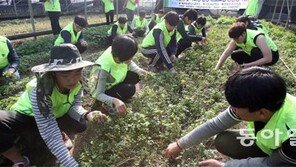 [부산/경남]동명대 학생들 농촌봉사활동 구슬땀
