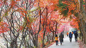 [대전/충남]하늘이 울긋불긋 해요