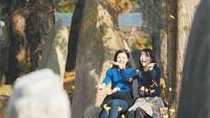 [대구/경북]가는 가을이 아쉬워…