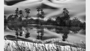 [‘다큐 사진의 거장’ 세바스치앙 살가두 GENESIS展]사하라 사막의 ‘생명수’