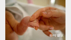 보건복지부 싱글세 논란 해명 “전혀 검토하고 있지 않아…잘못 전달된 것”